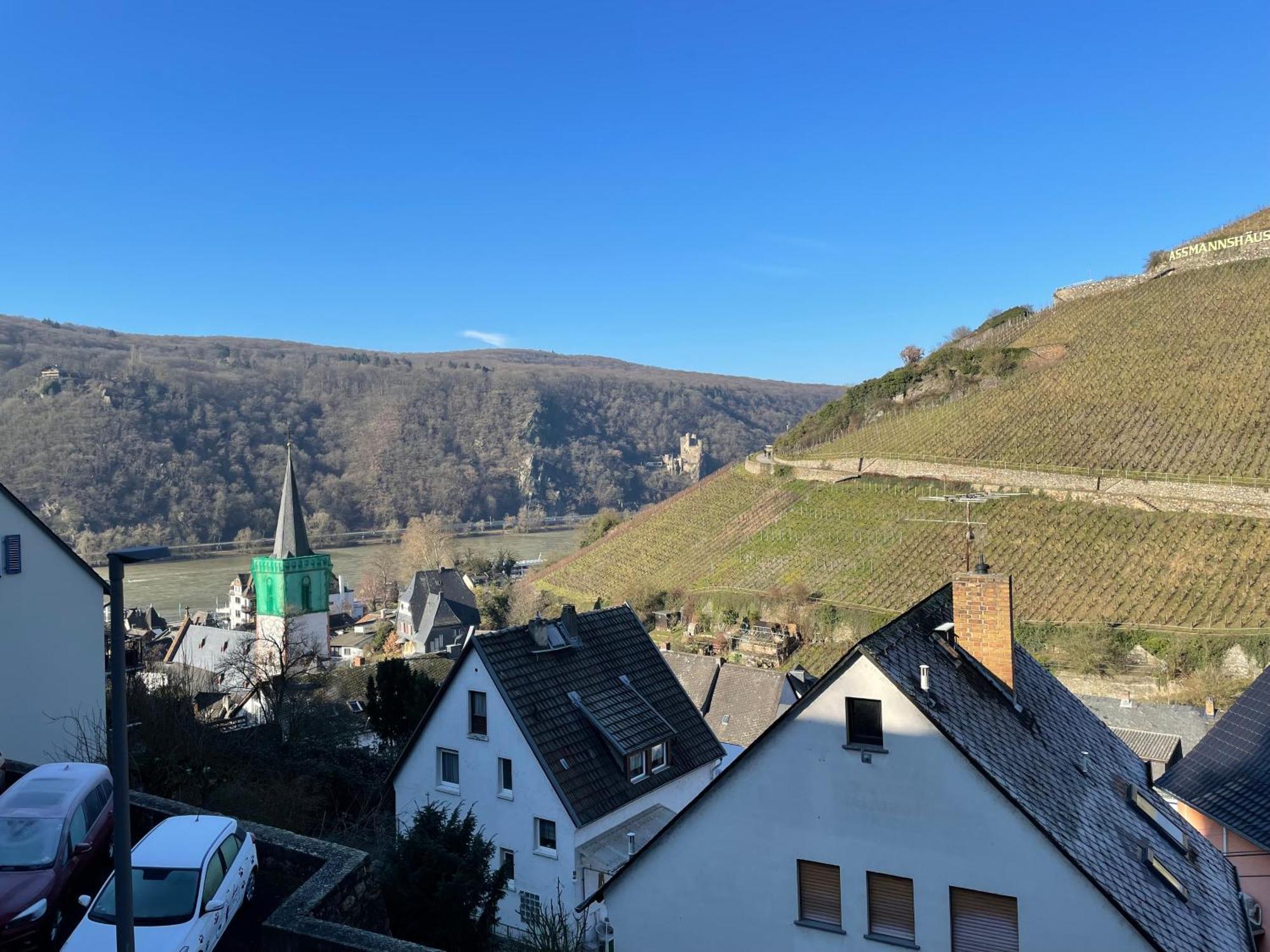 Haus Am Weinberg Apartment Ruedesheim am Rhein Luaran gambar